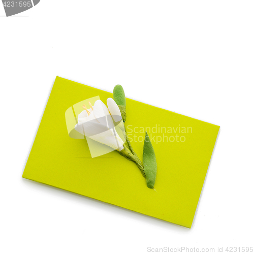 Image of Close up of green envelope with flower