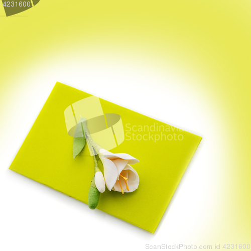 Image of Close up of green envelope with flower