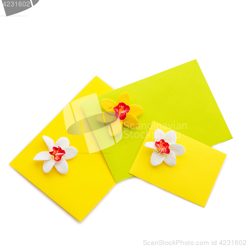 Image of Close up of three yellow envelope with flowers