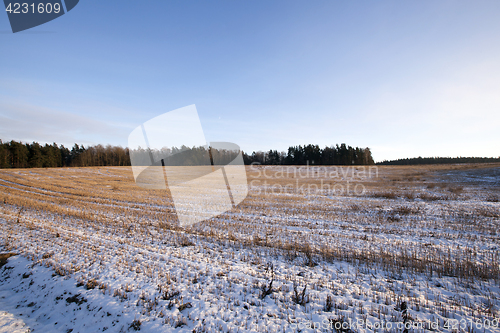 Image of snow-covered field, winter