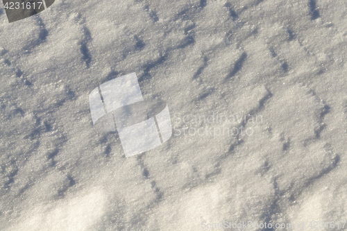 Image of Photo snow, close-up