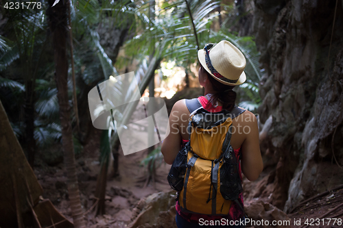 Image of Girl among thickets of palms