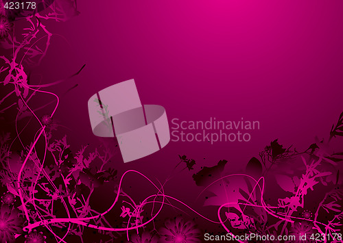 Image of pink flower