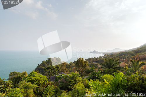 Image of forest and ocean landscape on sri lanka