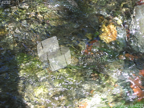 Image of Peaceful water