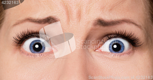 Image of Face woman with eyes and eyelashes