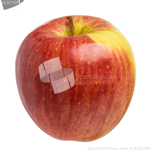 Image of Single fresh apple on white