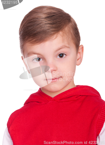 Image of Portrait of caucasian little boy
