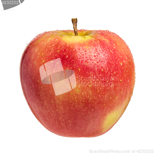 Image of Single fresh wet apple on white