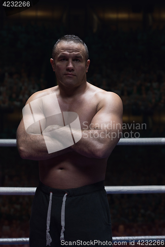 Image of professional kickboxer in the training ring