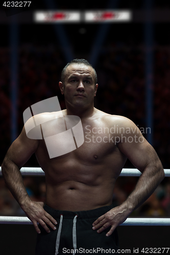 Image of professional kickboxer in the training ring