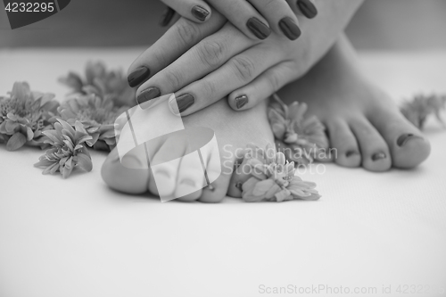 Image of female feet and hands at spa salon