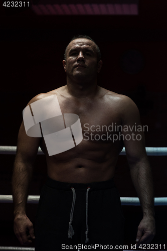 Image of portrait of muscular professional kickboxer