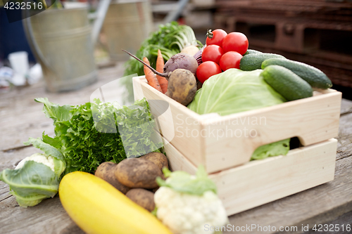 Image of close up of vegetables on farm