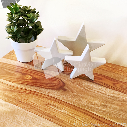 Image of Decorative concrete stars and green plant on a table