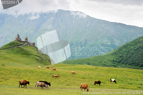 Image of Trinity Church in Gergeti