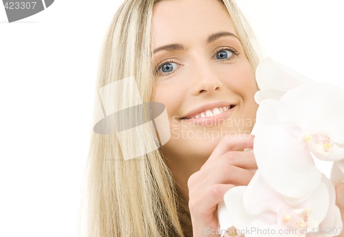 Image of white orchid