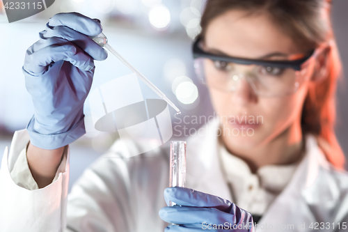 Image of Young scientist pipetting in life science laboratory.