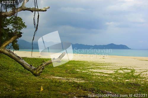 Image of Aurora Beach