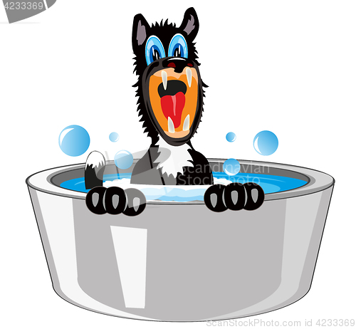 Image of Dog is washed in basin