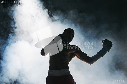 Image of Afro american male boxer.