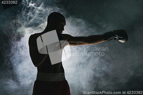 Image of Afro american male boxer.