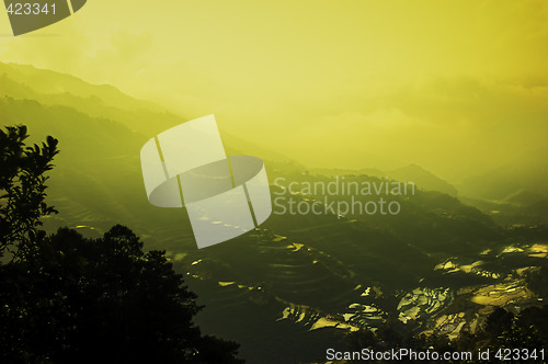 Image of Banaue