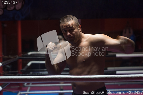 Image of professional kickboxer in the training ring