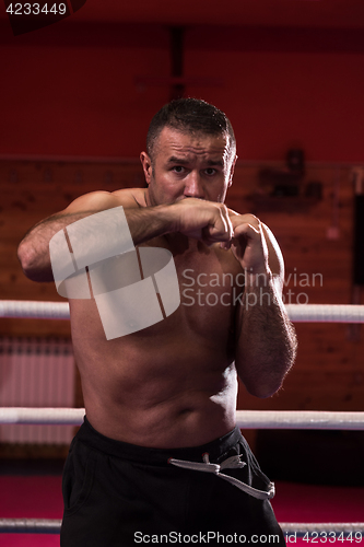 Image of professional kickboxer in the training ring