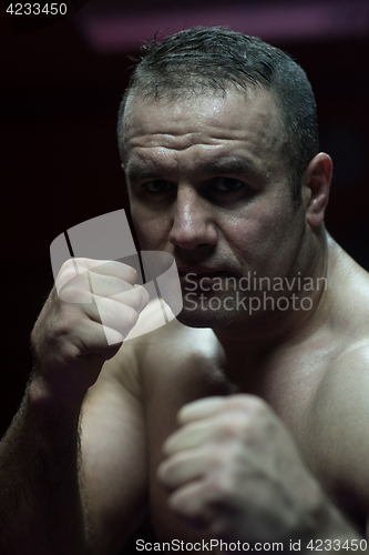 Image of professional kickboxer in the training ring