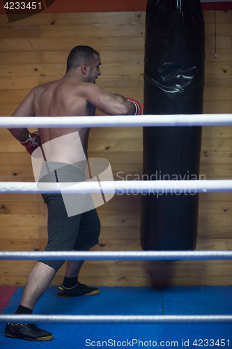 Image of kick boxer training on a punching bag