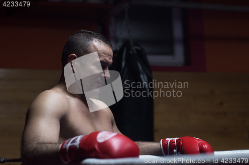 Image of kick boxer resting on the ropes in the corner