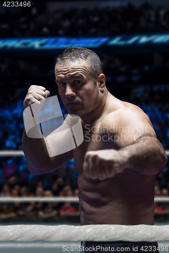 Image of professional kickboxer in the training ring