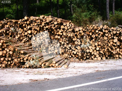 Image of Timber by the road