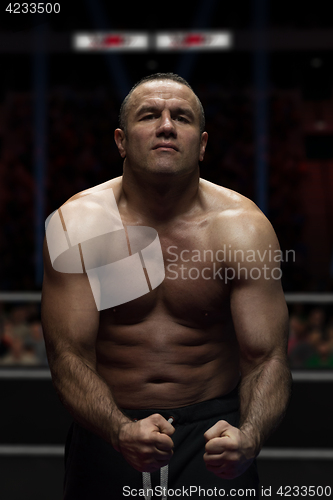 Image of professional kickboxer in the training ring