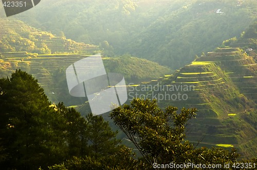 Image of Banaue Sunrise