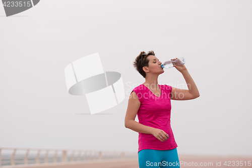 Image of Fitness woman drinking water