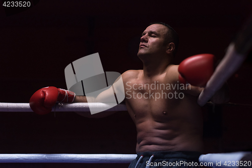 Image of kick boxer resting on the ropes in the corner