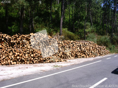 Image of Timber by the road