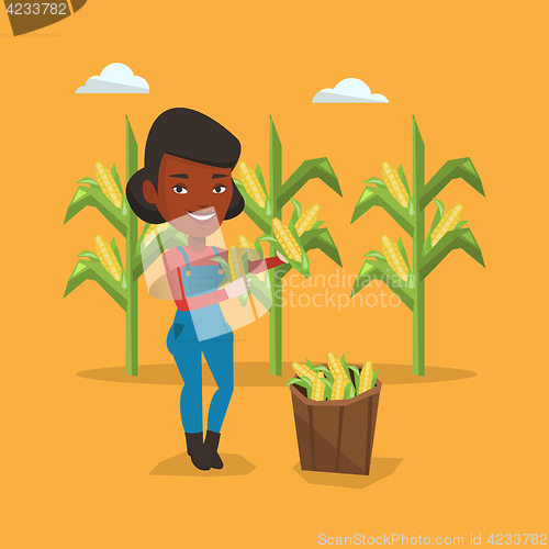 Image of Farmer collecting corn vector illustration.