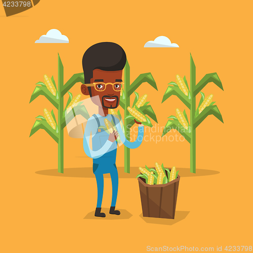Image of Farmer collecting corn vector illustration.