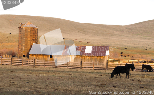 Image of Sunset Rural Hills Cattle Ranch Farm Agriculture Barn Silo