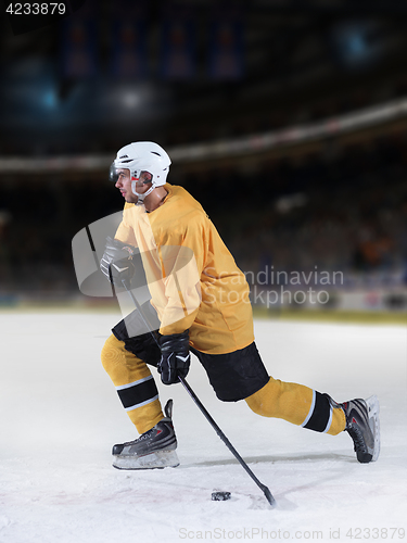 Image of ice hockey player in action