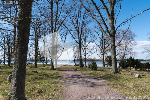 Image of Winding walkway by seaside