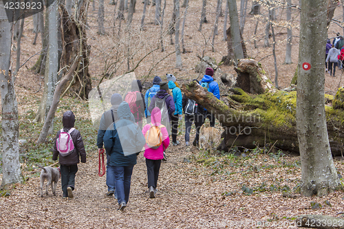 Image of Group of young people walking by hiking trail