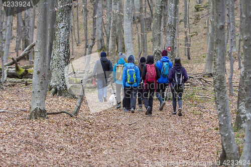 Image of Group of young people walking by hiking trail