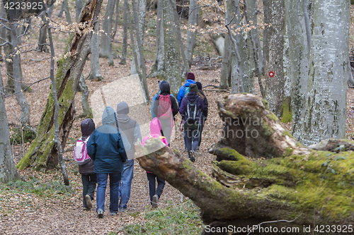 Image of Group of young people walking by hiking trail