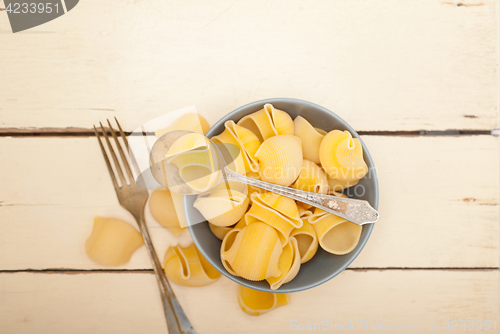 Image of Italian snail lumaconi pasta 