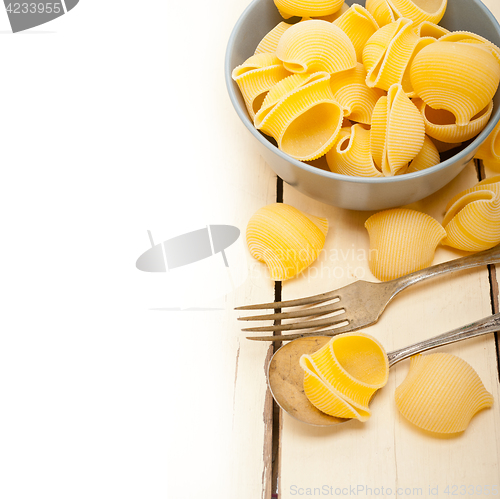 Image of Italian snail lumaconi pasta 