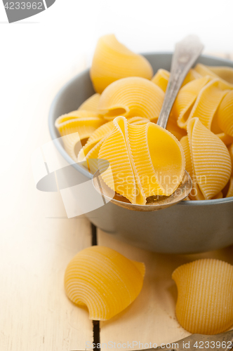 Image of Italian snail lumaconi pasta 